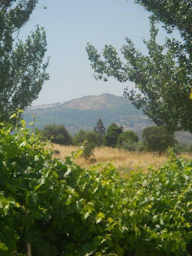 Marvão Tapada Da Beira 빌라 외부 사진