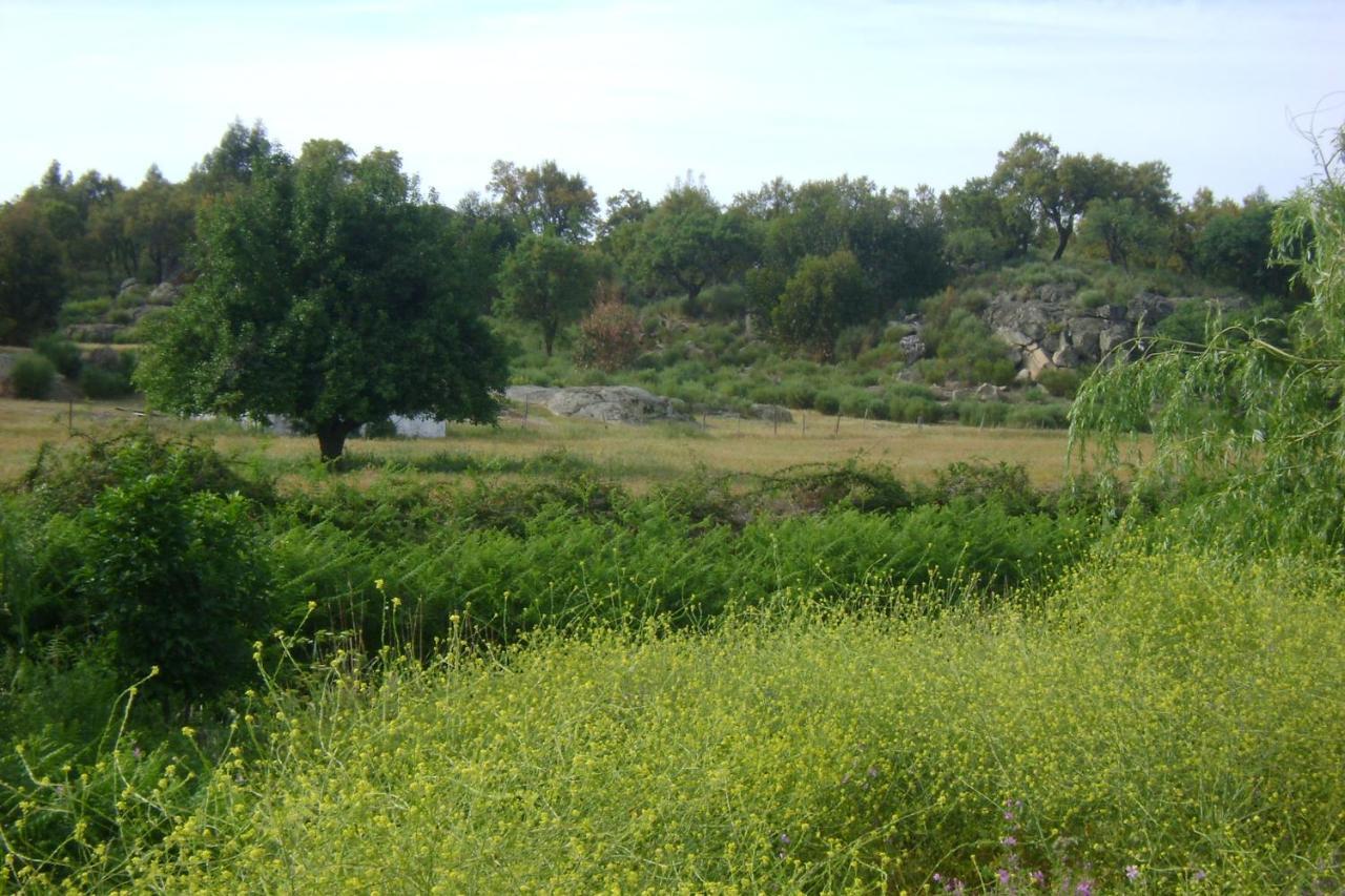 Marvão Tapada Da Beira 빌라 외부 사진