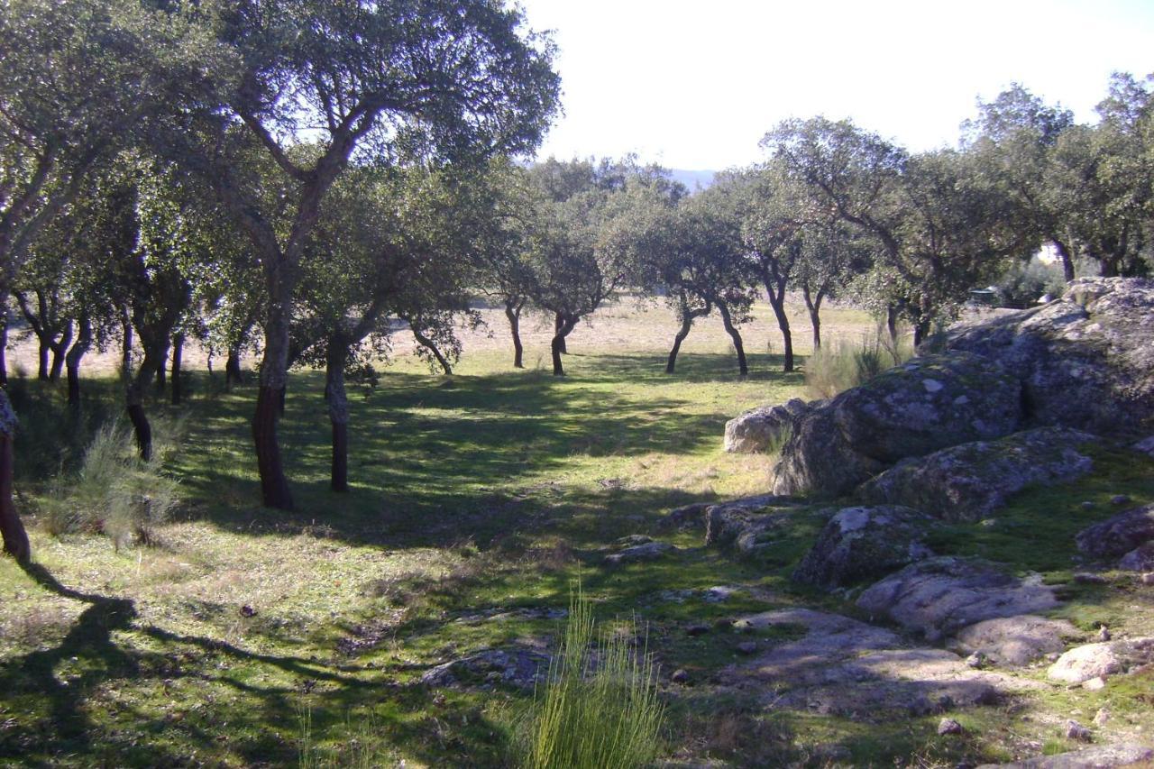 Marvão Tapada Da Beira 빌라 외부 사진